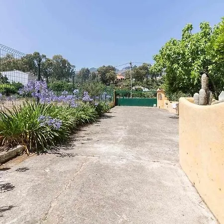Ojuelos Gran Canaria فيغا دي سان ماتيو